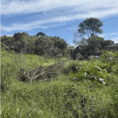 TERRENO | IBIÚNA – SP