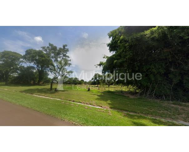 Foto de GLEBA DE TERRAS | BARRETOS - SP