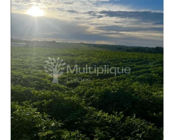 Foto de IMÓVEL RURAL | TUPÃ - SP 