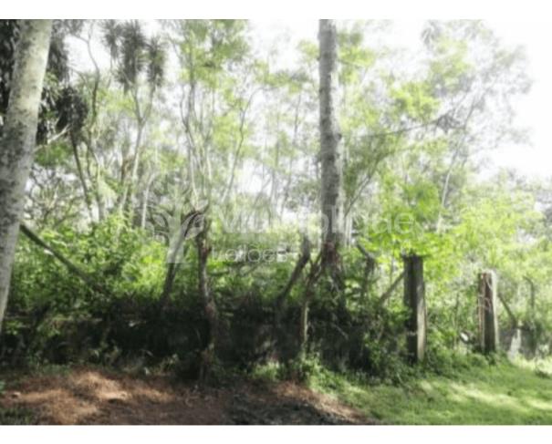 Foto de TERRENO | PARELHEIROS - SÃO PAULO/SP